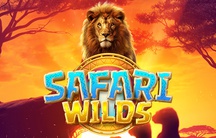 Safari Wilds